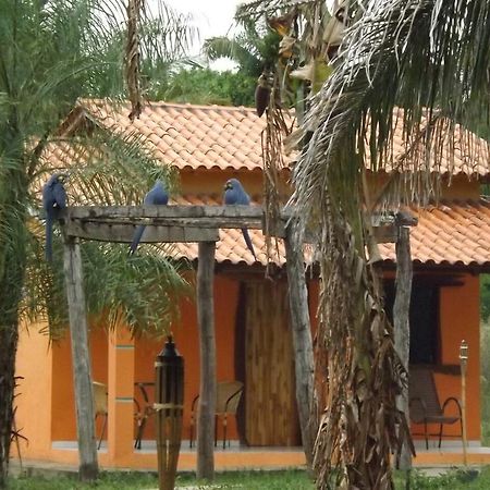 Pousada Reserva Ecologica Jaguar Poconé Exterior foto